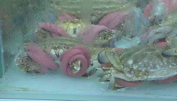 永輝、盒馬生鮮均被曝