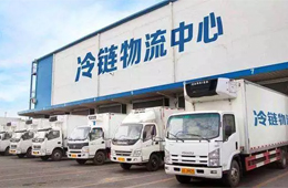 政策福利！冷鏈物流企業(yè)最高可領500萬元補貼