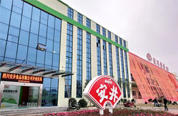 安井只是賣丸子的？不，它已成速凍品類“三劍客