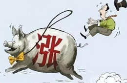 豬肉供應(yīng)量斷崖式下跌，肉價(jià)將開啟全面大漲