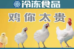量價齊升，養(yǎng)白羽肉雞咋還虧了？
