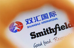 增收不增利，雙匯發(fā)展如何應對“二師兄”漲價