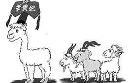 比去年同期上漲35%，價(jià)格井噴的“羊貴妃”路在何方？