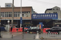 武漢華南海鮮市場(chǎng)元旦起休市，恢復(fù)營(yíng)業(yè)時(shí)間未定