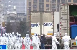 武漢華南海鮮市場完成大規(guī)模消殺；牛蛙、烏龜不列入禁食范圍