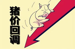 農(nóng)業(yè)農(nóng)村部：豬肉價(jià)格連8周回落，高峰或在9月前后出現(xiàn)