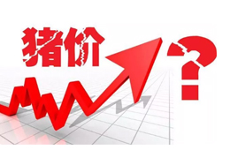 豬價又“變臉”，新一波漲勢來了？農業(yè)農村部：或持續(xù)到元旦春節(jié)