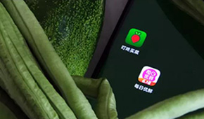 叮咚買菜、每日優(yōu)鮮接連上市，是否持續(xù)利好預(yù)制菜成為“家常菜”？