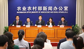 豬價下跌豬企承壓，有企業(yè)半年預(yù)虧34.5億，國家第三次出手收儲